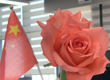 Buon 8 marzo Festa della Donna